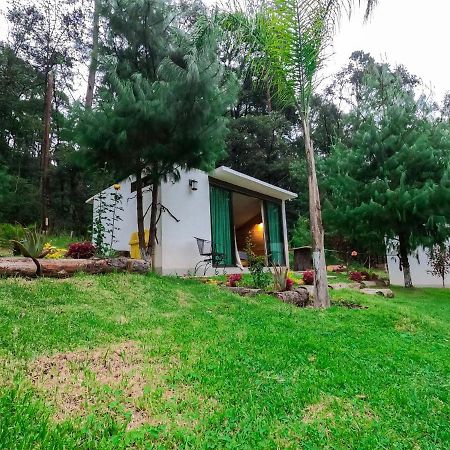 Romanticas Cabanas En Bosque Acaxochitlán Dış mekan fotoğraf