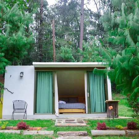Romanticas Cabanas En Bosque Acaxochitlán Dış mekan fotoğraf