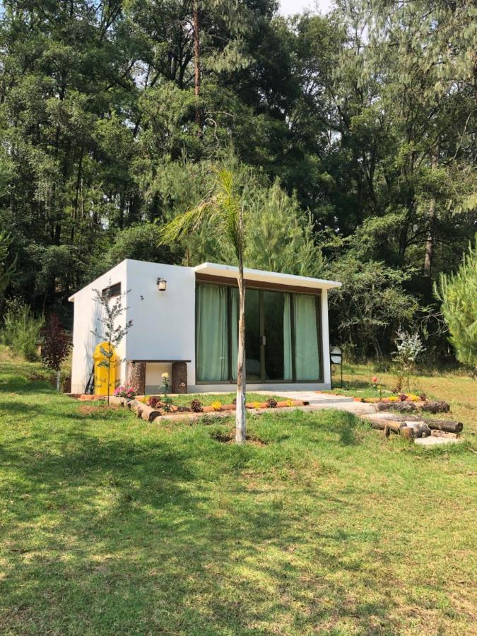 Romanticas Cabanas En Bosque Acaxochitlán Dış mekan fotoğraf