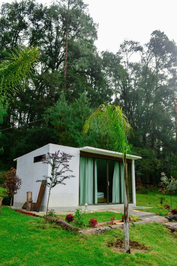 Romanticas Cabanas En Bosque Acaxochitlán Dış mekan fotoğraf