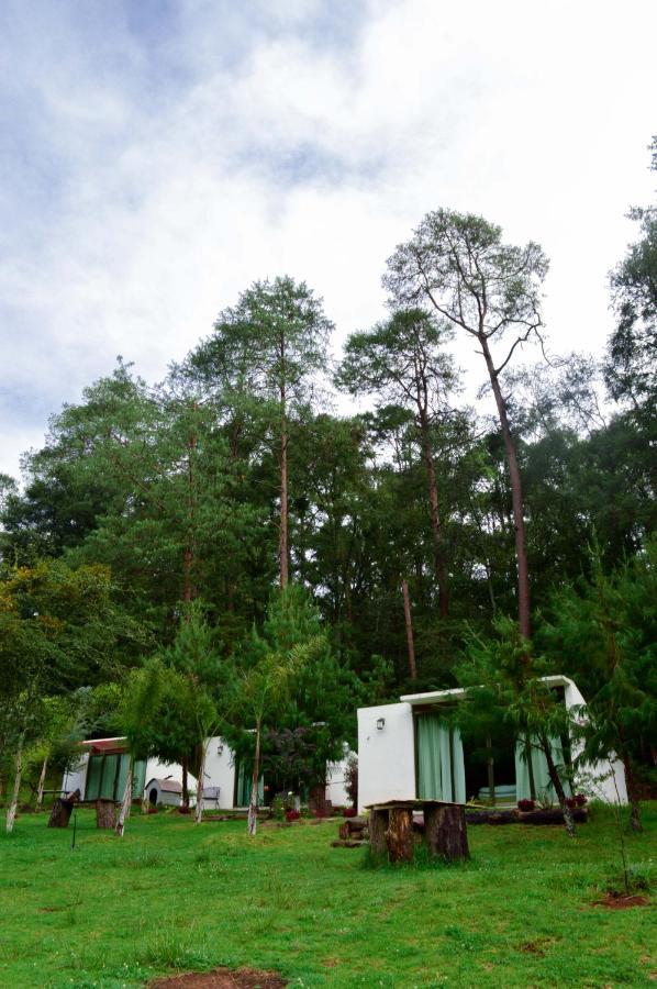 Romanticas Cabanas En Bosque Acaxochitlán Dış mekan fotoğraf