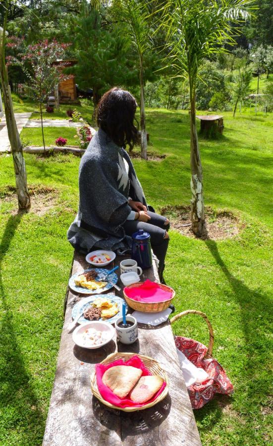 Romanticas Cabanas En Bosque Acaxochitlán Dış mekan fotoğraf