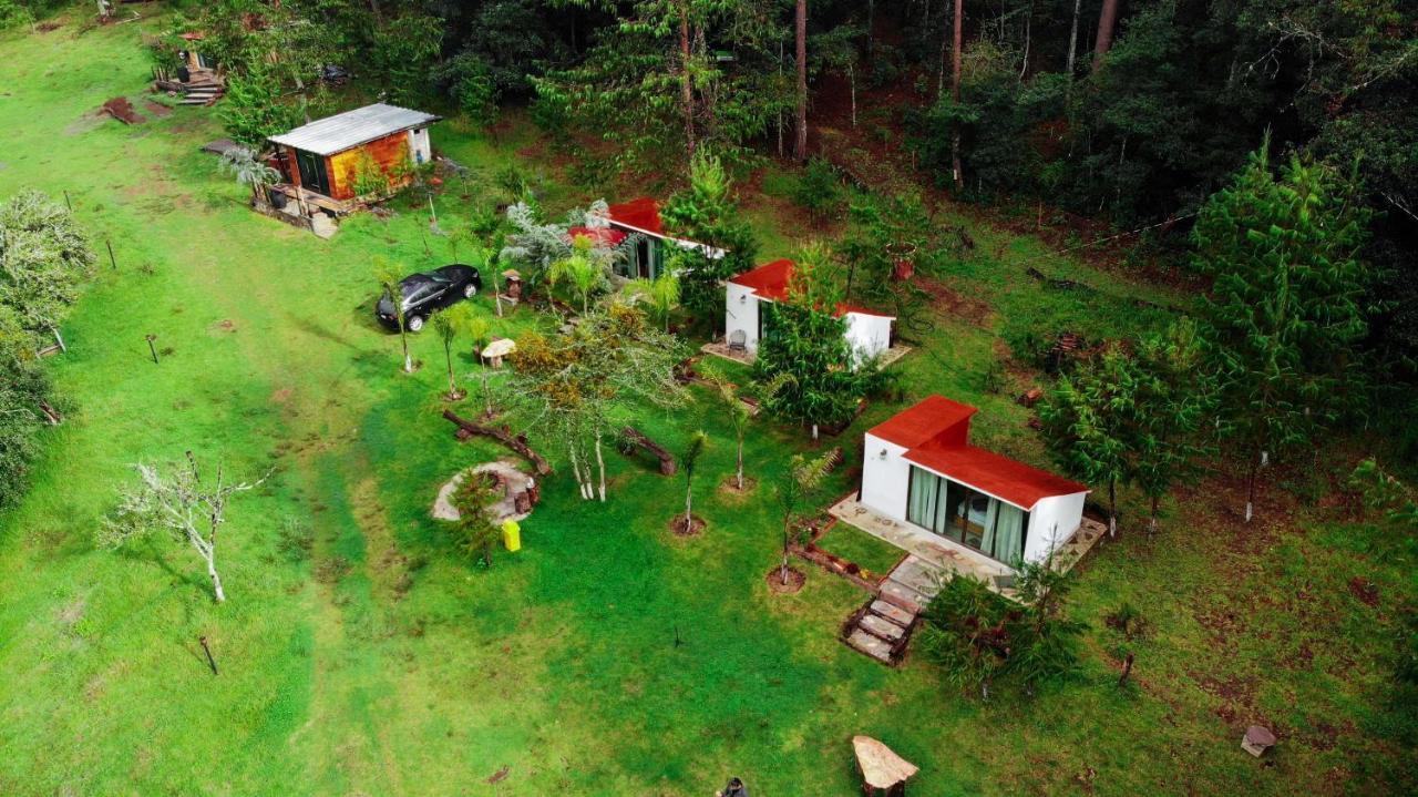 Romanticas Cabanas En Bosque Acaxochitlán Dış mekan fotoğraf