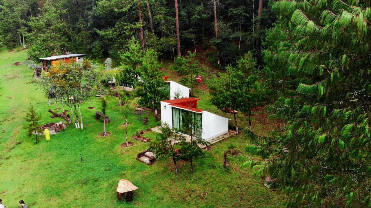 Romanticas Cabanas En Bosque Acaxochitlán Dış mekan fotoğraf